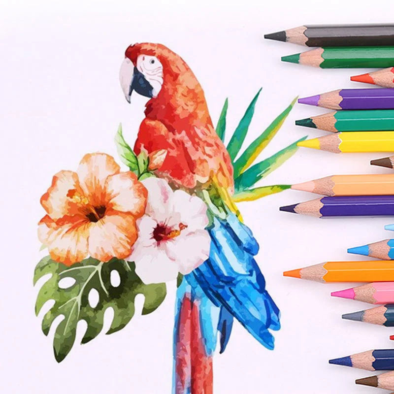 New Elite Colores - 12/24/36 Colour Pencils Set